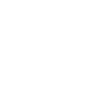 Reggia2
